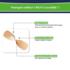 URGO Extensible Pansement Lot de 30 Pansements 2 Formats