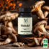 Phytalessence Mycelis Shiitaké BIO 60 comprimés – complément alimentaire immunité et cœur