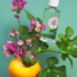 Roger & Gallet Eau Parfumée Bienfaisante Fleur de Figuier 30 ml