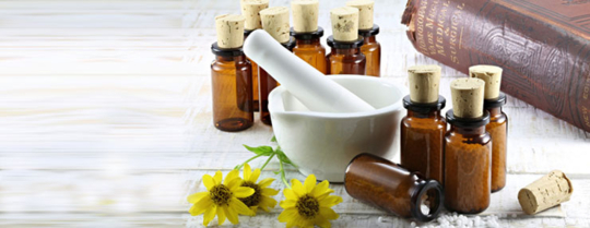 Arnica : un remède efficace contre les bosses et les bleus !