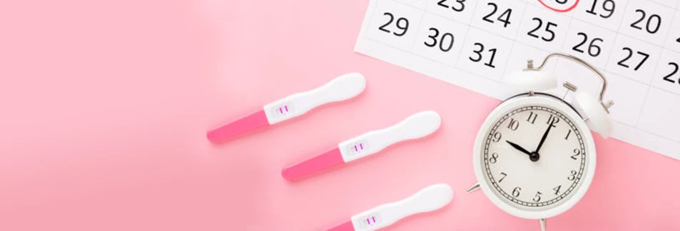 Tests de grossesse, ovulation