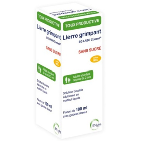 Lierre Grimpant Sans Sucre- Arôme Miel - 100 ml