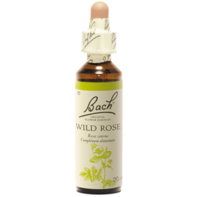 Fleur de Bach n°37 Wild Rose - 20 ml