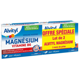 ALVITYL - Magnésium Vitamine B6 - Lot de 2 X 45 Comprimés