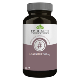 L-Carnitine 500 mg - 60 gélules