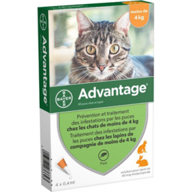ADVANTAGE - 40 - Antiparasitaire Chat & Lapin -4 kg - 4 pipettes