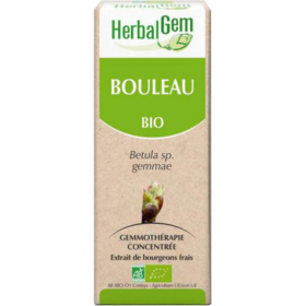 Bourgeon de Bouleau Bio - 30 ml
