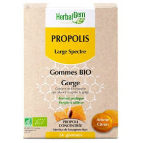 PROPOLIS - Gommes Spectre Citron Bio - Lot de 24 gommes Bio