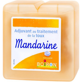 Pâte Pectorale Mandarine Toux - 60 g