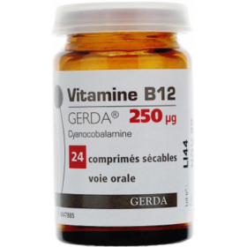 Vitamine B12 250 µG - 24 comprimés