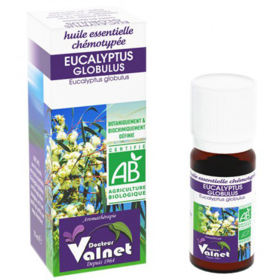 HUILE ESSENTIELLE - Eucalyptus Globulus Bio - 10 ml