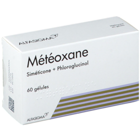 Météoxane Intestin - 60 gélules