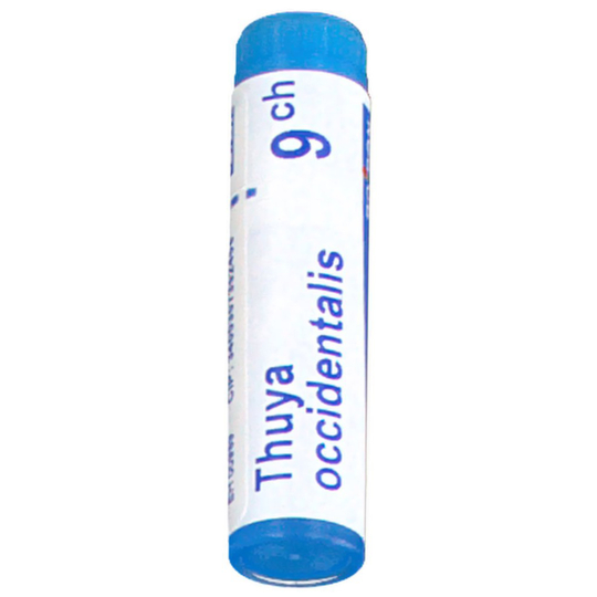 Boiron Thuya Occidentalis 9 CH - 1 dose