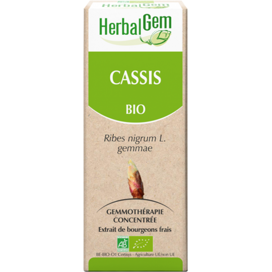 Bourgeon de Cassis Bio - 30 ml