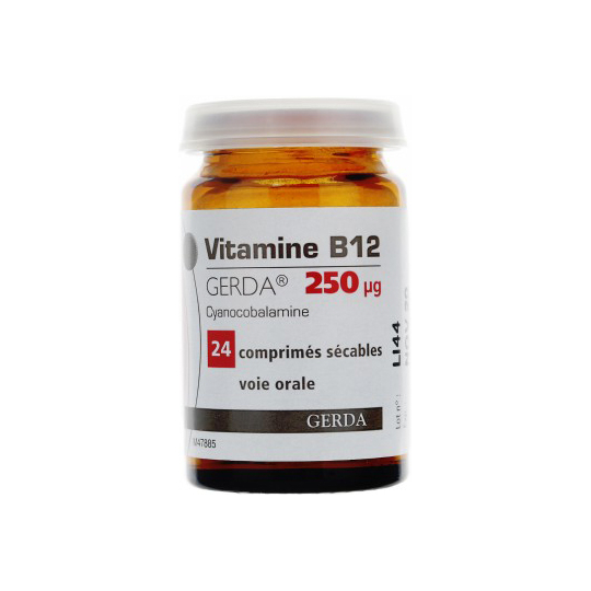 Vitamine B12 250 µG - 24 comprimés