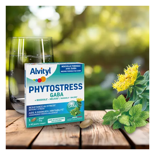 Alvityl Phytostress Gaba 28 Comprimés