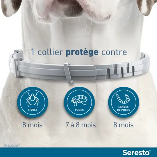 Seresto Collier Antiparasitaire anti-puces Grands chiens +8 kg de 2 colliers